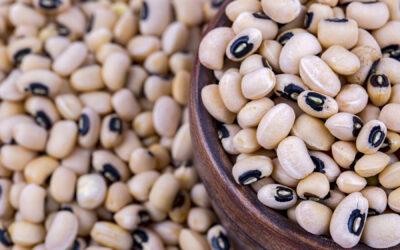 Feeling Tired and Weak? 10 Iron-Rich Foods You Need Daily!